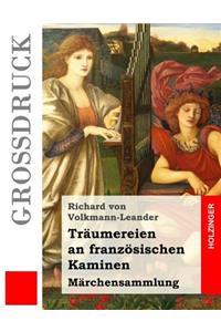 Träumereien an französischen Kaminen (Großdruck)