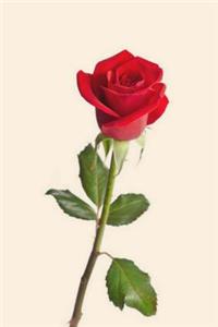 Red Rose Journal