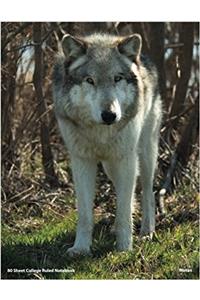 Wolves of Wolf Park Wotan Notebook