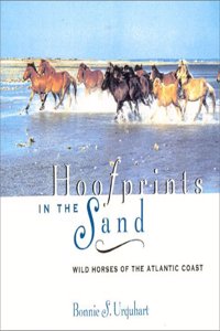 Hoofprints in the Sand