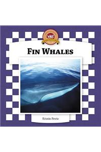 Fin Whales