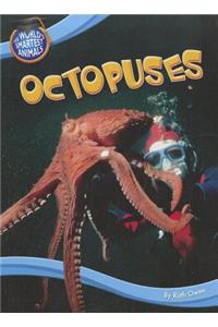 Octopuses