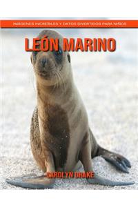 León marino