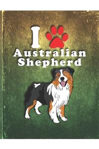 Australian Shepherd