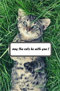 may the cats be with you !