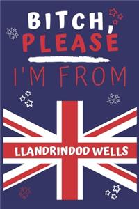 Bitch Please I'm From Llandrindod Wells