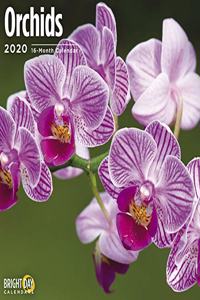 ORCHIDS WALL CALENDAR 2020