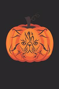 Cat Notebook - Halloween Cat Journal - Cat Gift for Animal Lovers - Cat Diary