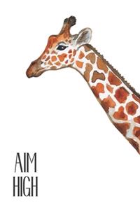 Aim High