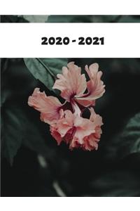 2020-2021