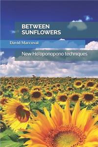 Between Sunflowers