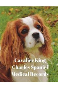 Cavalier King Charles Spaniel Medical Records