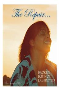 Repair...Broken but not destroyed....The Journey