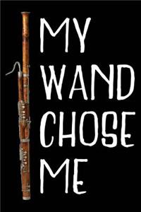 My Wand Chose Me