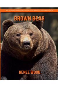 Brown Bear