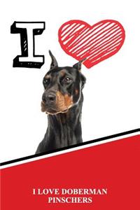 Doberman Pinschers