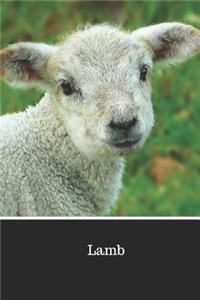 Lamb: Blank Writing Notebook Lined Page Book Soft Cover Plain Journal for a Easter Stationery Basket Gift Lent