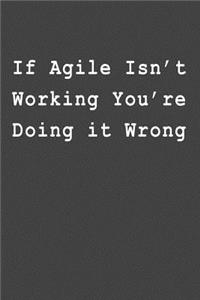 If Agile Isn't Working You're Doing It Wrong