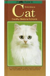 A PetLove Guide to Selecting a Cat