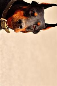 Loving Eyes of a Doberman Journal