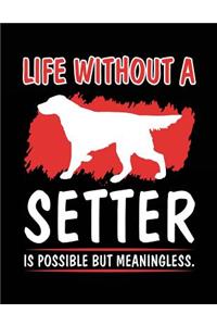 Life Without A Setter Is Possible But Meaningless.