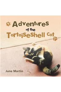 Adventures of the Tortoiseshell Cat