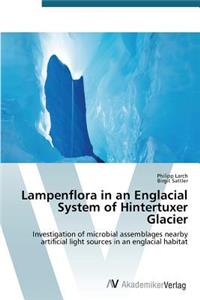 Lampenflora in an Englacial System of Hintertuxer Glacier