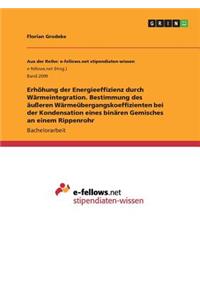 Erhöhung der Energieeffizienz durch Wärmeintegration. Bestimmung des äußeren Wärmeübergangskoeffizienten bei der Kondensation eines binären Gemisches an einem Rippenrohr