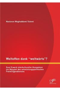 Weltoffen dank weltwärts? Zum Erwerb interkultureller Kompetenz am Beispiel des entwicklungspolitischen Freiwilligendienstes