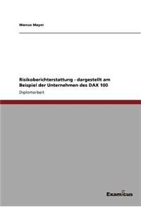 Risikoberichterstattung - dargestellt am Beispiel der Unternehmen des DAX 100