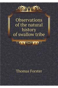 Observations of the Natural History of Swallow Tribe