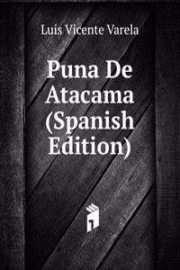 Puna De Atacama (Spanish Edition)