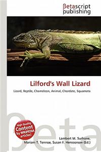 Lilford's Wall Lizard