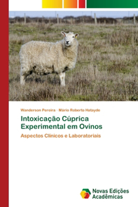 Intoxicação Cúprica Experimental em Ovinos