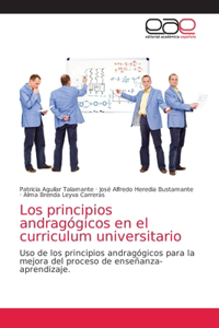 principios andragógicos en el curriculum universitario