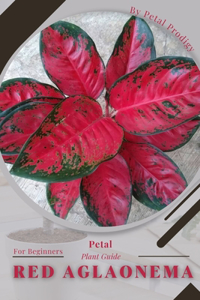 Red Aglaonema