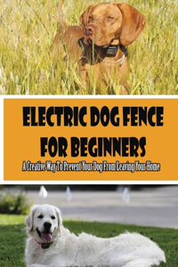 Electric Dog Fence For Beginners- A Creative Way To Prevent Your Dog From Leaving Your Home