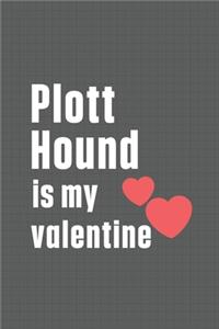 Plott Hound is my valentine