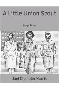 A Little Union Scout