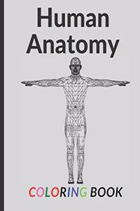 Human Anatomy Coloring Book