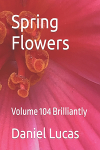 Spring Flowers