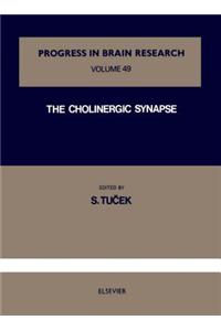 The Cholinergic Synapse