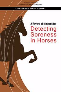 A Review of Methods for Detecting Soreness in Horses