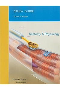 Study Guide for Anatomy and Physiology