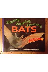 Houghton Mifflin Soar to Success: Reader, Level 4 Set 7 Zipping Zapping