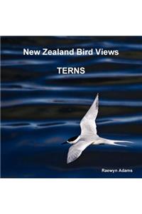 New Zealand Bird Views : Terns