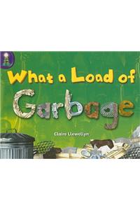 Rigby Lighthouse: Leveled Reader 6pk (Levels J-M) What a Load of Garbage