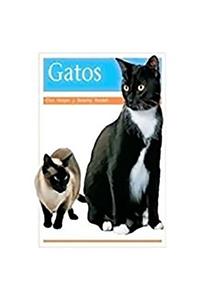 Gatos (Cats)