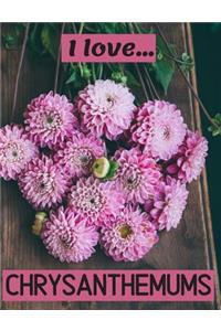I Love Chrysanthemums