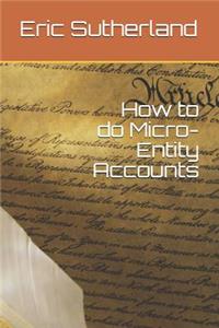 How to do Micro-Entity Accounts